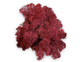 Islandský aranžérský mech 30g - burgundy