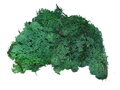 Islandský aranžérský mech 500g - tmavě zelený