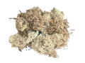 Islandský aranžérský mech 50g - béžový