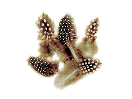 Aranžérská peříčka perličky - strakaté - 10g - natural
