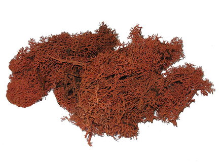 Islandský aranžérský mech 500g - hnědý