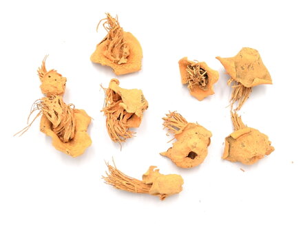 Sušené kloboučky "medúzy" 10g - pastelové oranžové