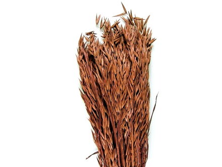Sušený aranžérský oves setý 150g - hnědý