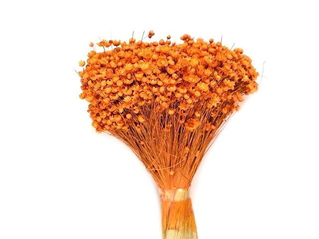 Sušené mini slaměnky Glixia Marcela 75g kytička - oranžové