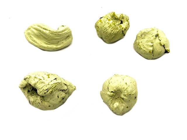 Sušený palmový květ nerozvitý - poupě - 5 ks - pastelový žlutý