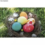 Potravinářské barviva pro barvení velikonočních vajíček - 5 barev