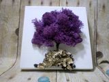Islandský aranžérský mech 30g - vintage fialový