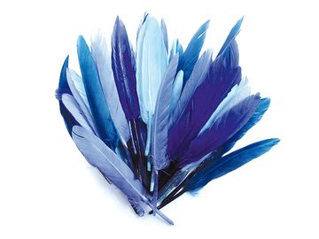 Aranžérská pírka 10g - modré odstíny
