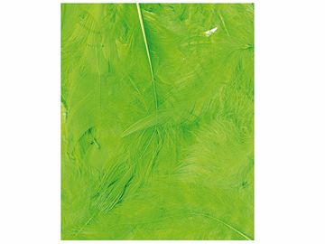 Aranžérská peříčka - 3g - neonově zelená
