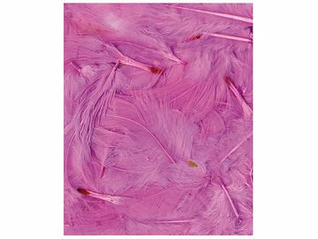 Aranžérská peříčka - 3g - růžová