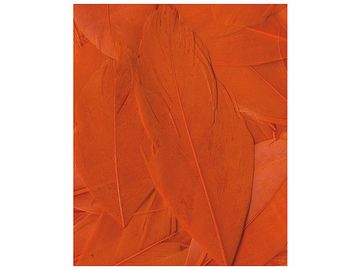 Aranžérská pírka hladká - 3g - oranžová