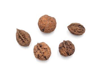 Aranžérské vlašské ořechy 5ks - tmavé