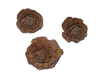 Cedrové růže 3ks - přírodní