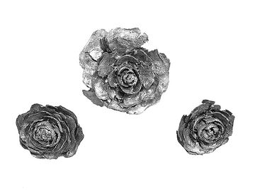 Cedrové růže 3ks - stříbrné