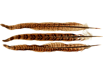Dekorační bažantí peříčka ARTEMIO 6ks - dlouhé