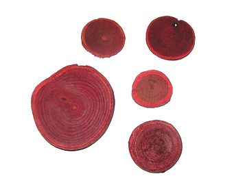 Dřevěné plátky kulaté 5ks - červené