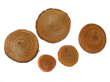 Dřevěné plátky kulaté 5ks - oranžové