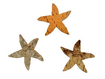 Hvězdice z březové kůry - 7cm