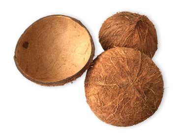 Kokosový ořech půlený - přírodní