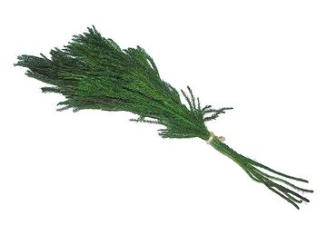 Mechová větvička zelená - svazek 5ks