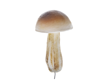 Pěnová dekorační zapichovací houba 7cm