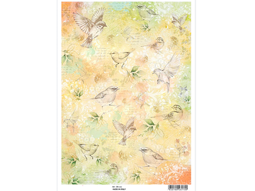 Rýžový papír A4 - Paris Les Oiseaux - ptáčci