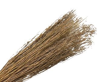 Sušená tráva luční - koriandr 100g - přírodní