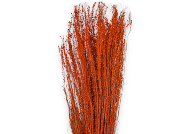 Sušená tráva Star Grass 100g - oranžová