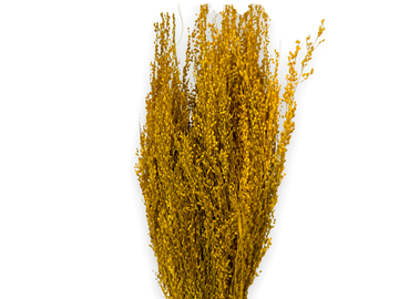 Sušená tráva Star Grass 100g - slunečnicově žluté