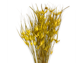 Sušená tráva tulipánová 100g - žlutá