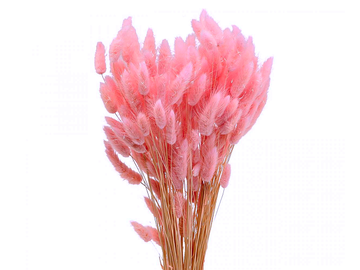 Sušená tráva zajíčka vejčitá Lagurus 50g - bělená růžová