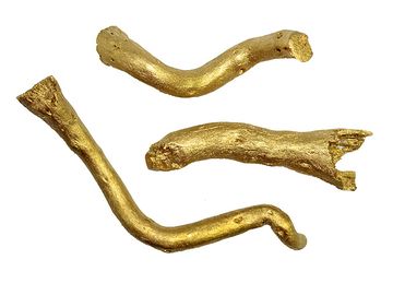 Sušená aranžérská dřívka kořen - metalické zlaté