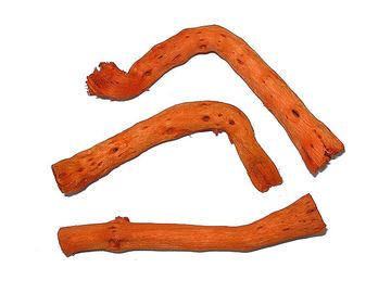 Sušená dřívka kořen Topy - oranžové
