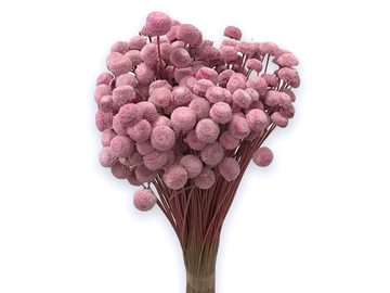 Sušené květiny Botao 80g - růžové