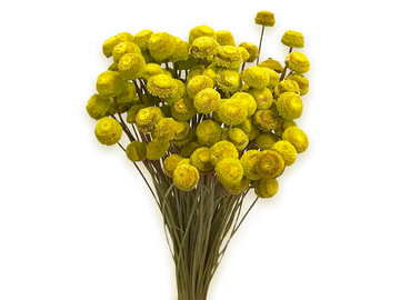 Sušené květiny Botao 80g - žluté