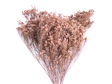 Sušené květiny Broom Bloom 100g - růžové