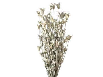 Sušené květiny hvězdičky Nigella Orientalis 100g - vintage bílé