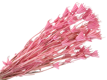 Sušené květiny - kytice Nigella Orientalis cca 70g - světle růžové