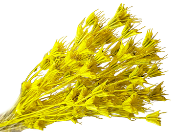 Sušené květiny - kytice Nigella Orientalis cca 70g - žluté