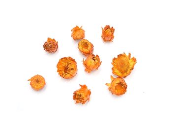 Sušené květiny slaměnky 10ks - světlé oranžové