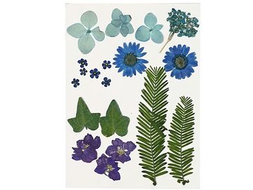 Sušené lisované květiny a listy 19ks - modrý mix
