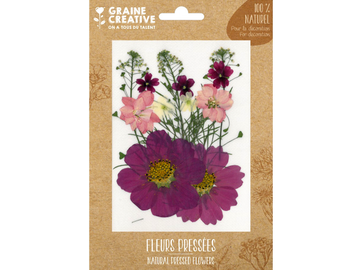 Sušené lisované květiny a listy - fialové krasulky a verbeny