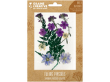 Sušené lisované květiny a listy - fialové lobelky a fialky