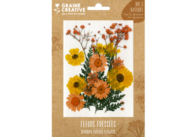 Sušené lisované květiny a listy - žlutá letní louka