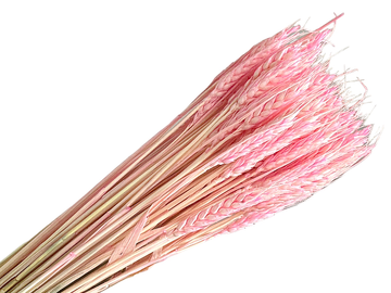Sušené přírodní klasy pšeničné cca 120g - světle růžové