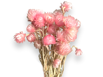 Sušené slaměnky Capblumen 50g - světle růžové
