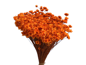 Sušené slaměnky Glixia 50g kytička - oranžové