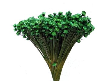 Sušené slaměnky Glixia 50g kytička - tmavě zelené