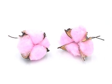Sušený aranžérský květ bavlník - pastelově růžový