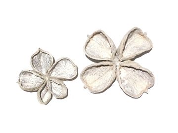Sušený květ Nigella - vintage bílý